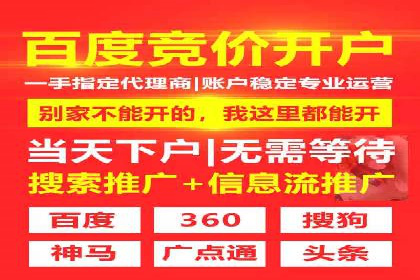 提升转化率：SEM竞价专员的案例研究