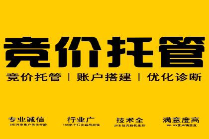 SEM服务托管：中小企业广告投放的明智之选